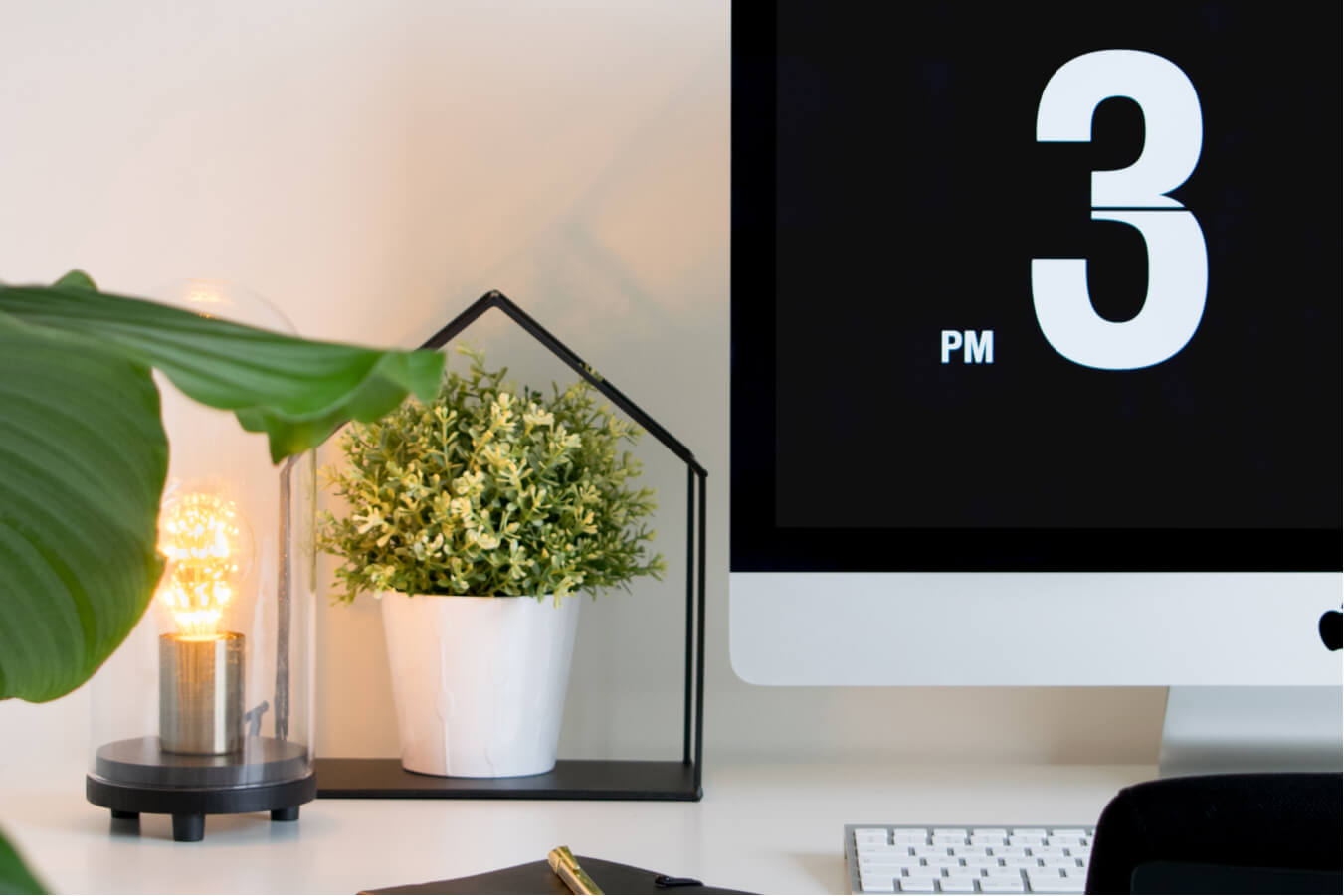 Computer and plants